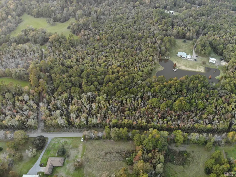 27+- Acres Hillon Hood Rd, Denham Springs, LA 70726 - Image #3