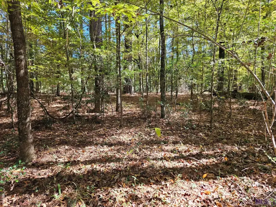 TBD Tunica Trace, Saint Francisville, LA 70775 - Image #2