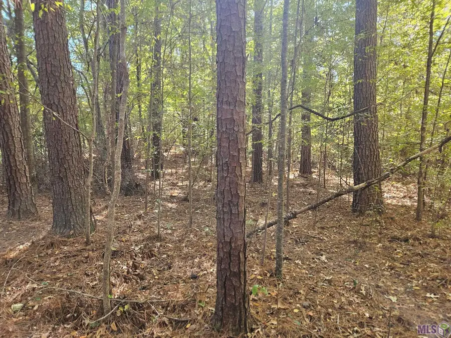 TBD Tunica Trace, Saint Francisville, LA 70775 - Image #3