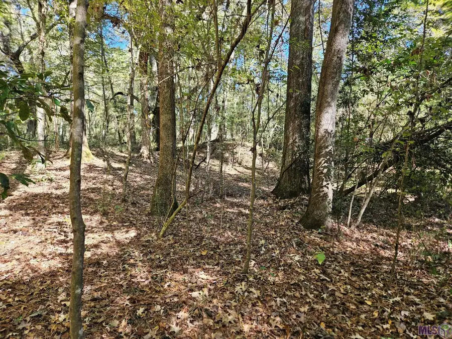 TBD Tunica Trace, Saint Francisville, LA 70775 - Image #2
