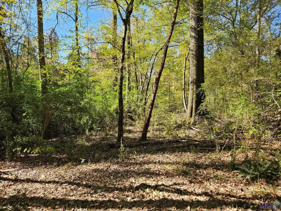 TBD Tunica Trace, Saint Francisville, LA 70775 - Image #3