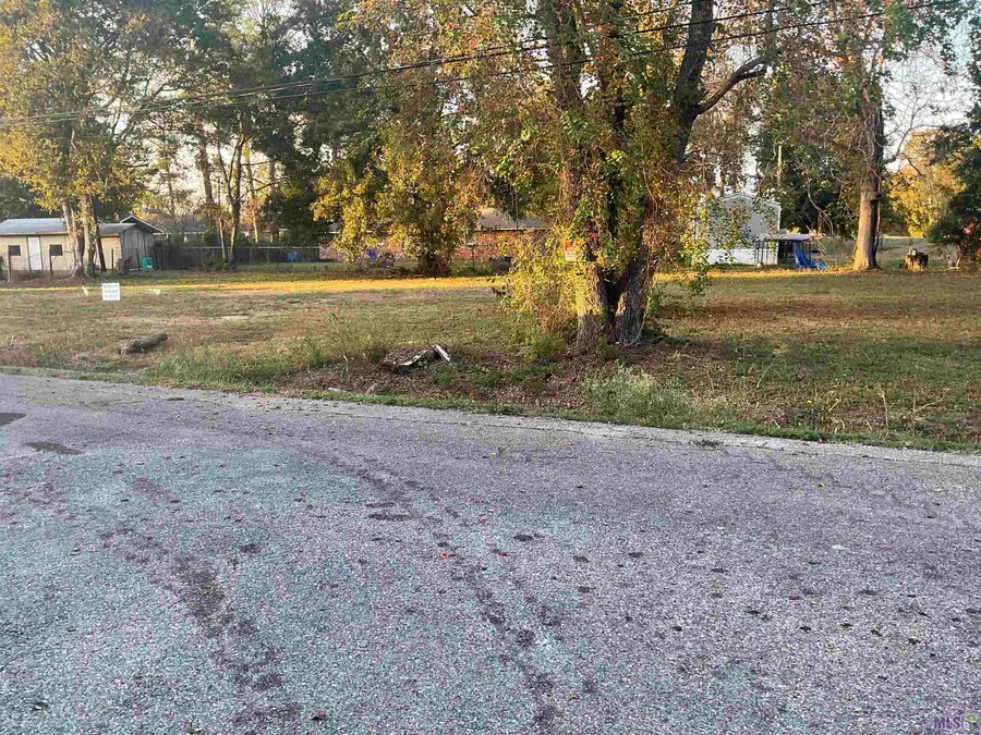 717 Louis, New Roads, LA 70760 - Image #3