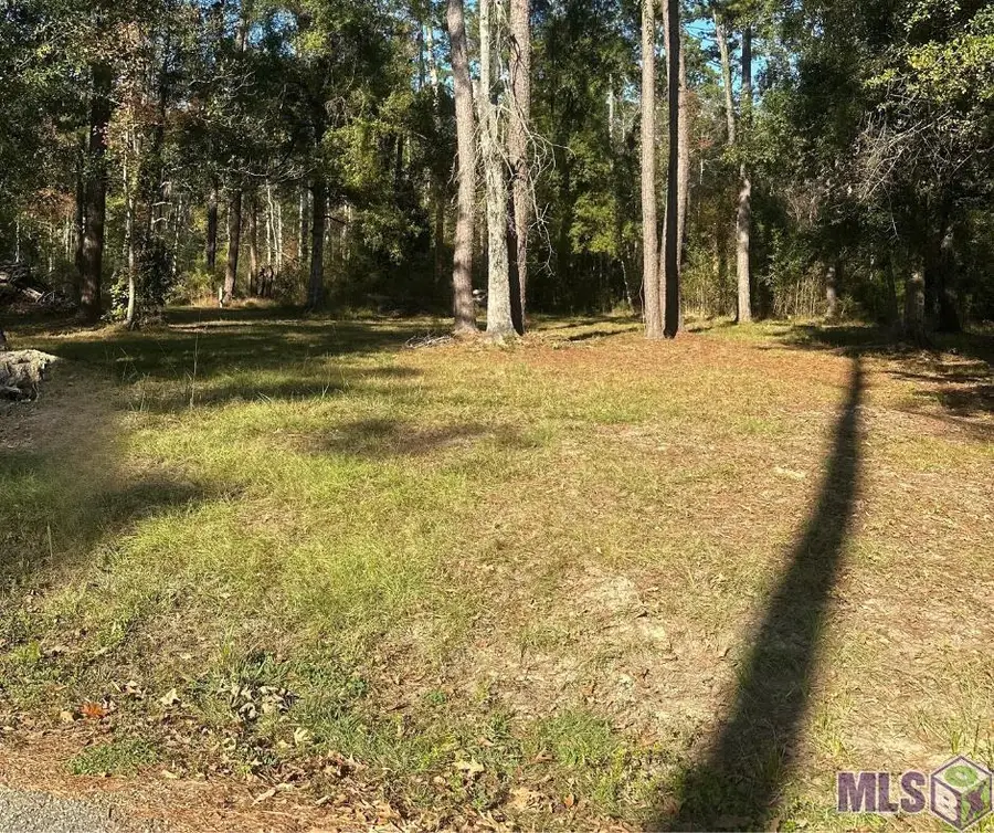 31581 River Pines Dr, Springfield, LA 70462 - Image #2