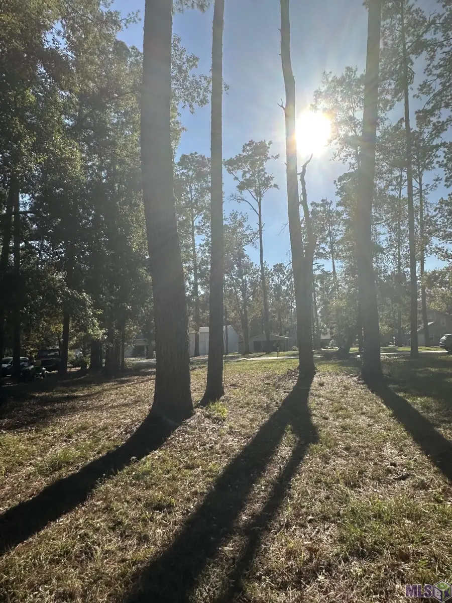 31581 River Pines Dr, Springfield, LA 70462 - Image #3