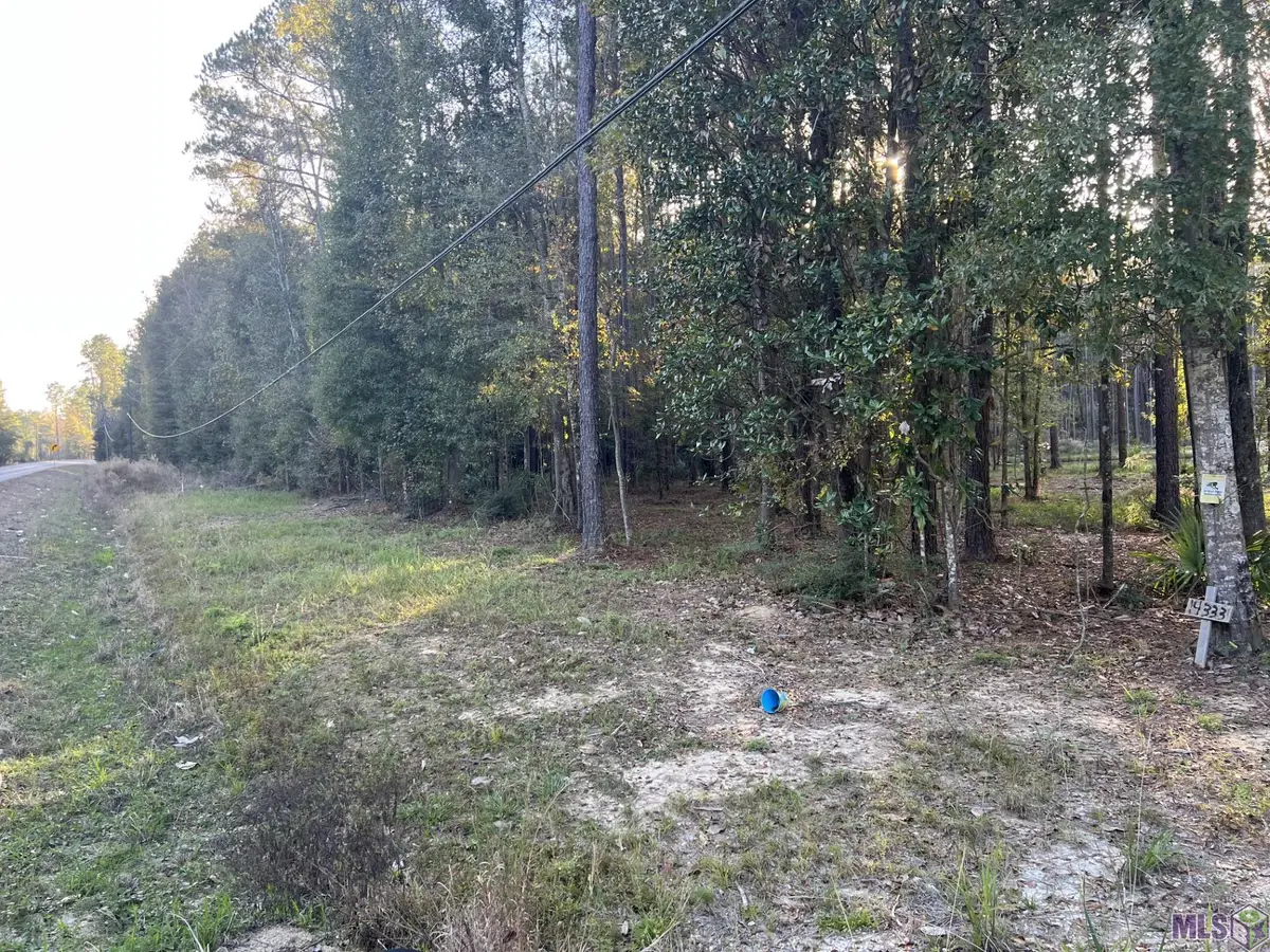 14333 Springfield Rd, Walker, LA 70785 - Image #1