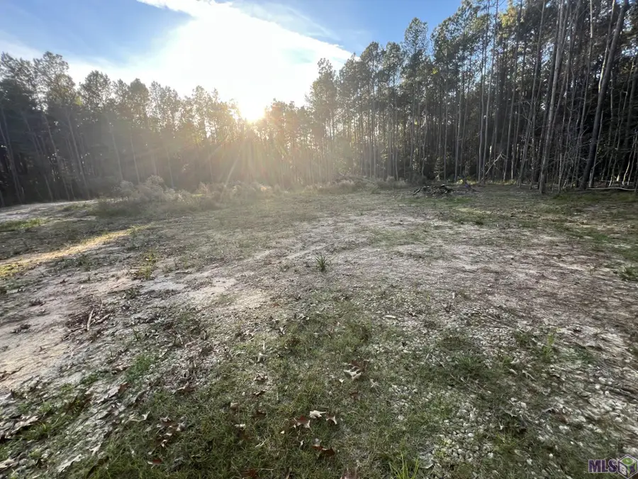 14333 Springfield Rd, Walker, LA 70785 - Image #2