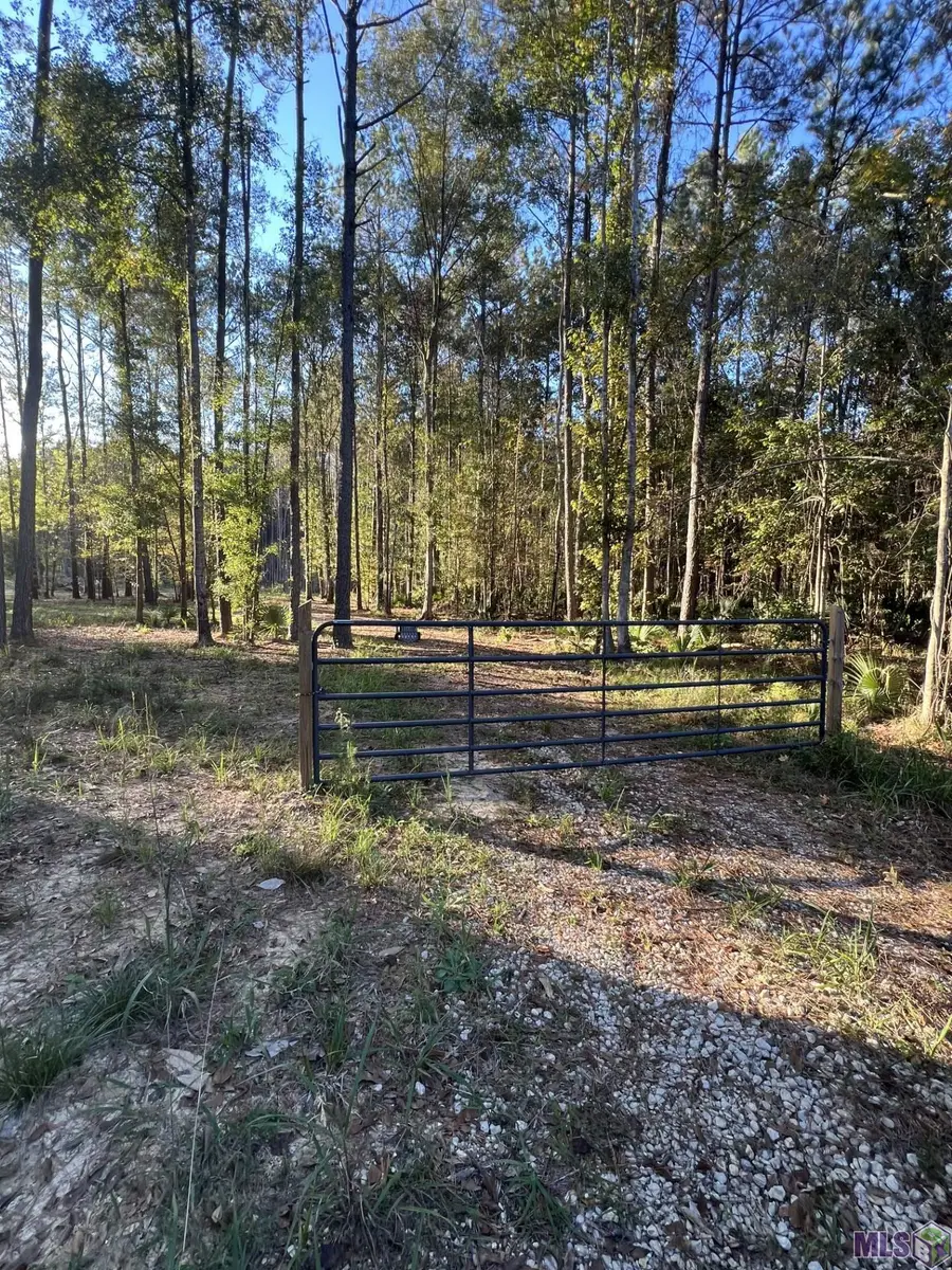 14333 Springfield Rd, Walker, LA 70785 - Image #3