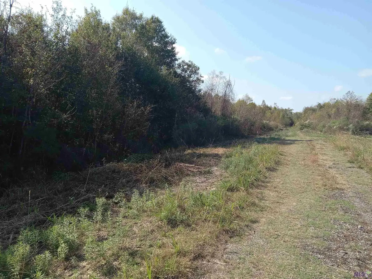 Rue Orleans, Livingston, LA 70744 - Image #1