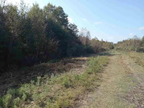 Rue Orleans, Livingston, LA 70744