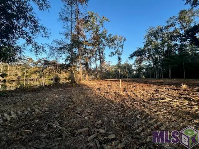 14245 Old River Rd, Maurepas, LA 70449 - Image #3