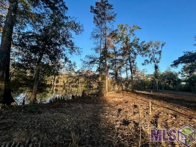 14275 Old River Rd, Maurepas, LA 70449 - Image #3