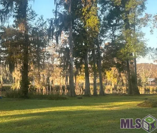 14287 Old River Rd, Maurepas, LA 70449