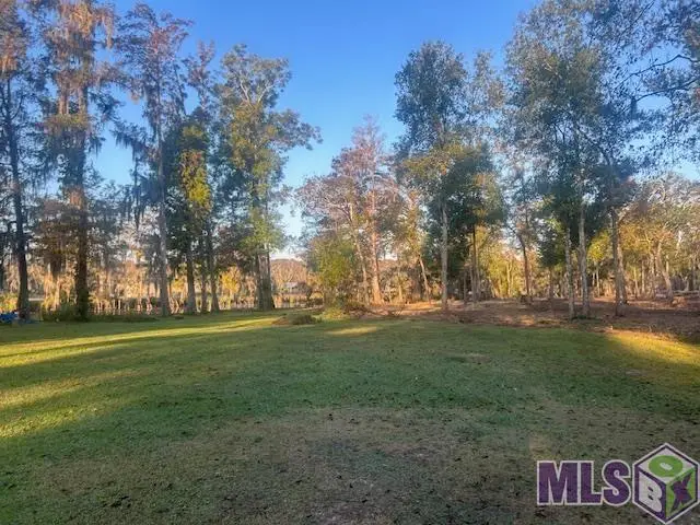 14287 Old River Rd, Maurepas, LA 70449 - Image #2