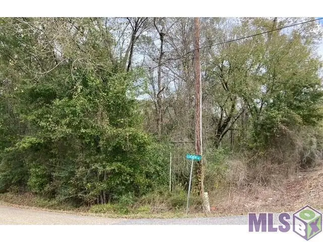 Lot 22 Lucien St, Denham Springs, LA 70726 - Image #2
