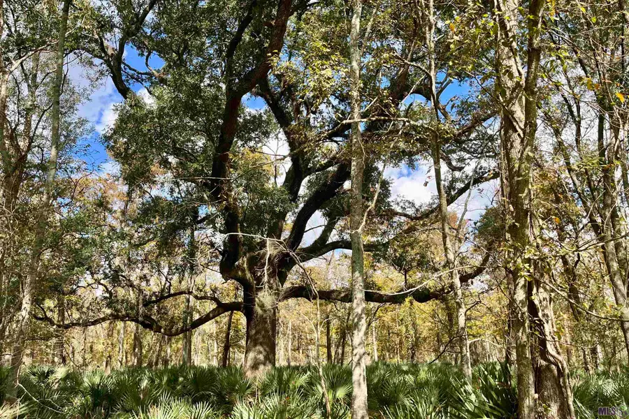 02 Manchac Rd, Saint Gabriel, LA 70776 - Image #2