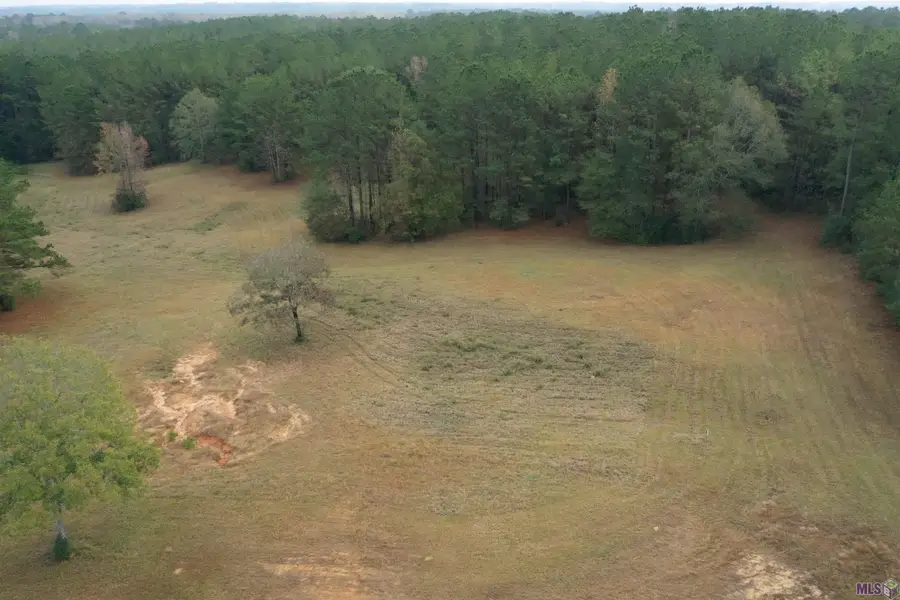 Lot 4-C-2-A La Hwy 421, Saint Francisville, LA 70775 - Image #3