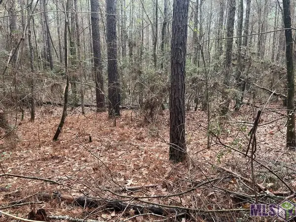 0 Highway #481, Converse, LA 71419