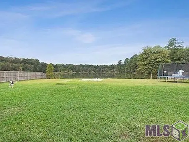 27675 Lakeview Dr, Walker, LA 70785 - Image #2