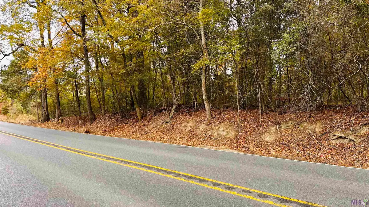 Tract C-1 La Hwy 1032, Denham Springs, LA 70726 - Image #1