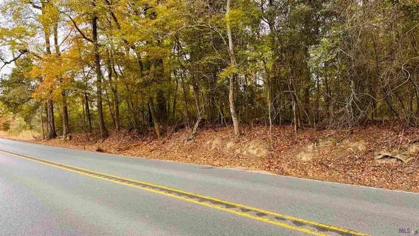 Tract C-1 La Hwy 1032, Denham Springs, LA 70726