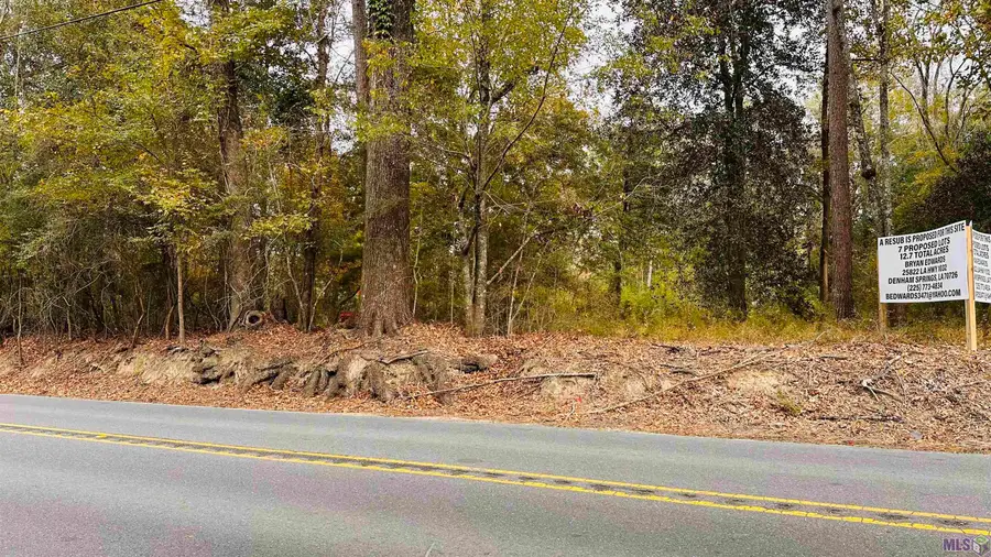 Tract C-1 La Hwy 1032, Denham Springs, LA 70726 - Image #2