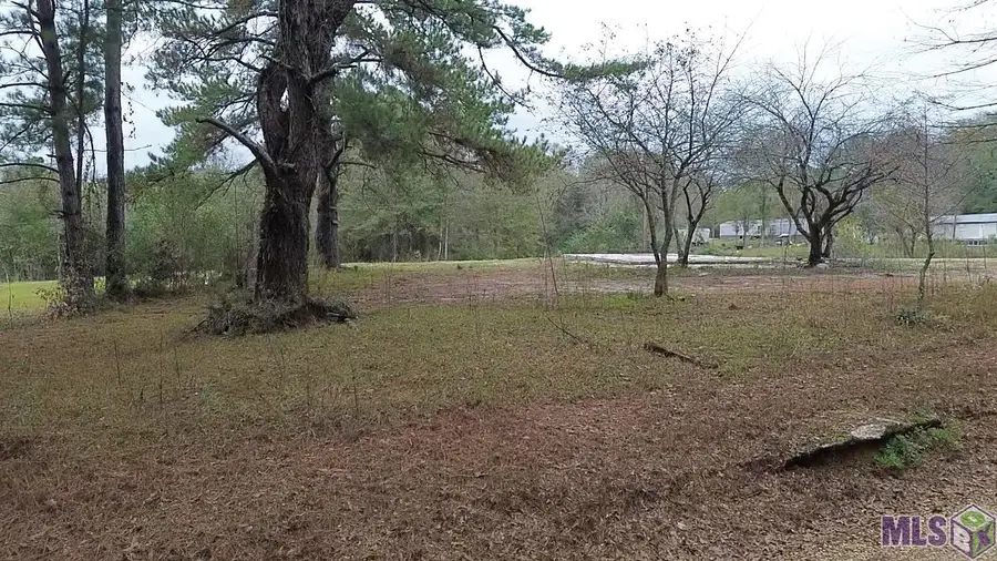 Tract B & C P Griffin Rd, Kentwood, LA 70444 - Image #2