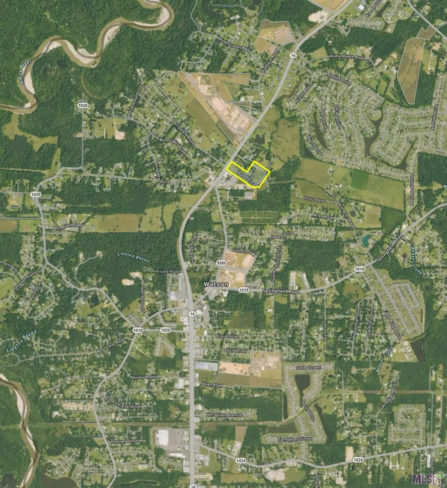 8560 Bob West Ln, Denham Springs, LA 70706 - Image #3