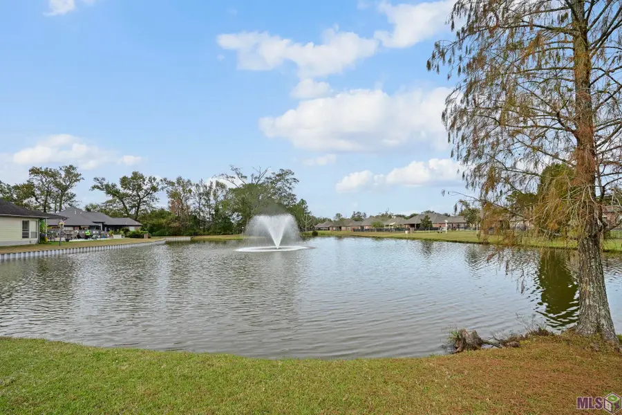 35430 Oak Manor Ave, Geismar, LA 70734 - Image #2
