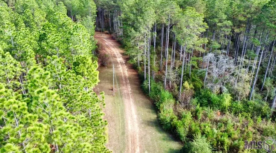 3947 Purvis Columbia Road, Lumberton, MS 39455 - Image #2