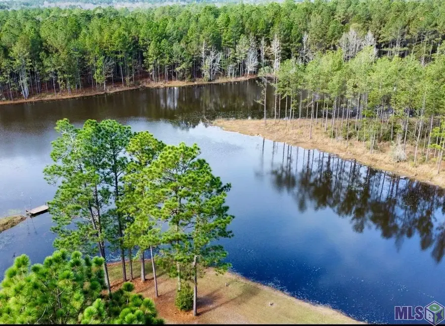 3947 Purvis Columbia Road, Lumberton, MS 39455 - Image #3