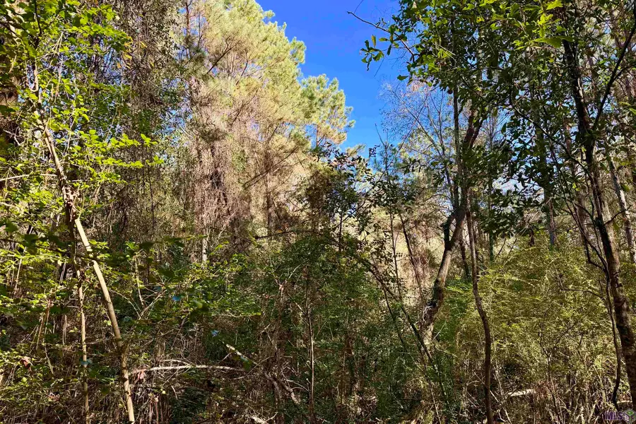 01 Bobcat Lane, Amite, LA 70422 - Image #2