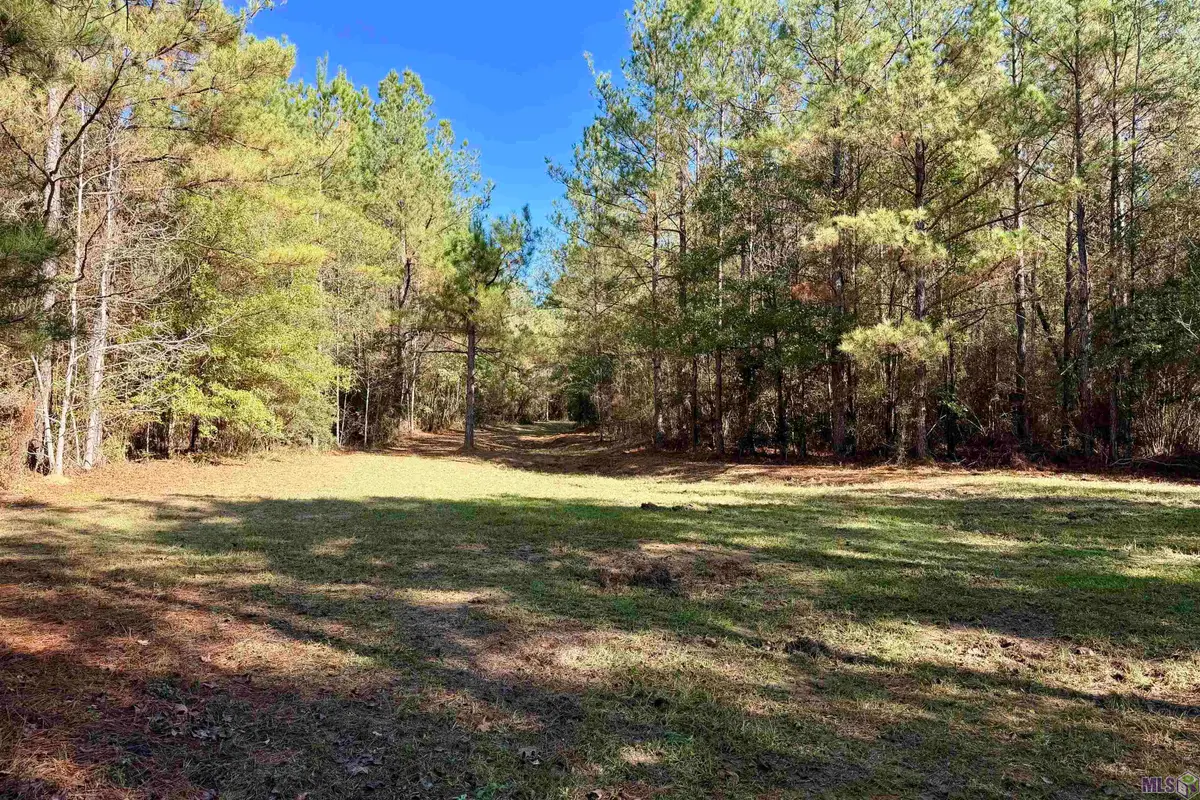 03 La Hwy 1047, Amite, LA 70442 - Image #1