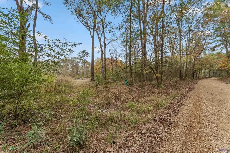 5498 Old Liberty Rd, Clinton, LA 70722 - Image #3