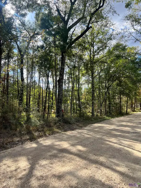 Lot 53 Nesom Rd, Denham Springs, LA 70706