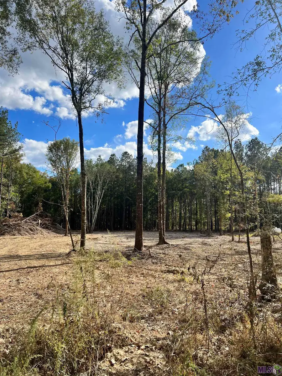 Lot 53 Nesom Rd, Denham Springs, LA 70706 - Image #2