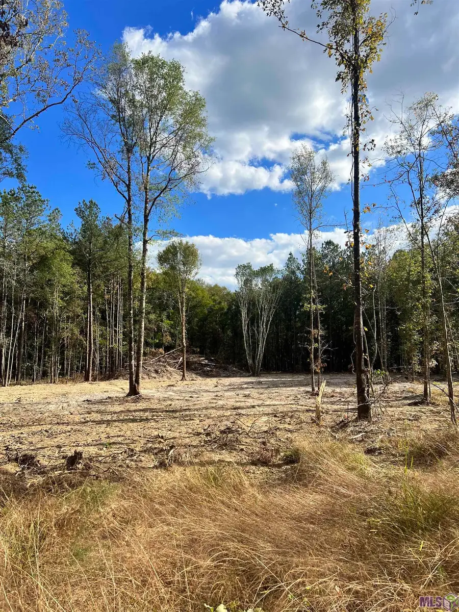Lot 53 Nesom Rd, Denham Springs, LA 70706 - Image #3