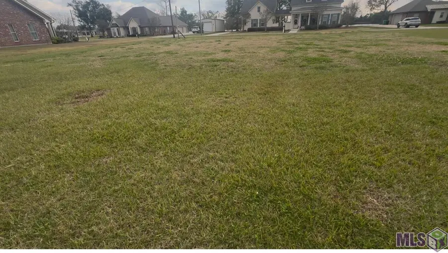 117 Sweet Haven Drive, Belle Rose, LA 70341 - Image #2