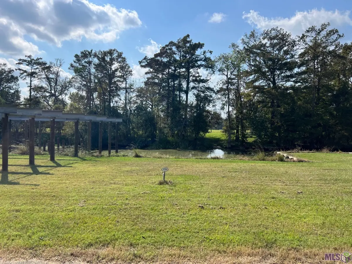 23101 Carter Plantation Dr, Springfield, LA 70462 - #1