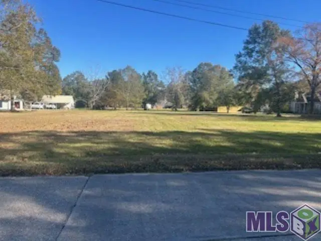 17378 Deerpath Ct, Prairieville, LA 70769 - Image #2