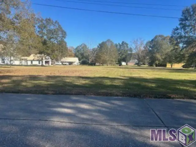 17378 Deerpath Ct, Prairieville, LA 70769 - Image #3