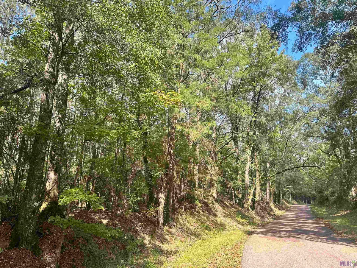 tbd Beechgrove, Clinton, LA 70722 - #1