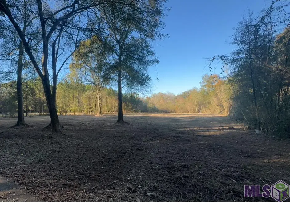TBD Robinson Rd, Folsom, LA 70437 - Image #1