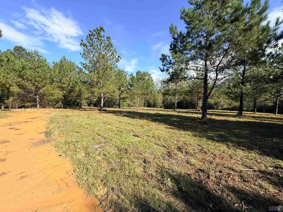 66238 La Hwy 1058, Roseland, LA 70456 - #2