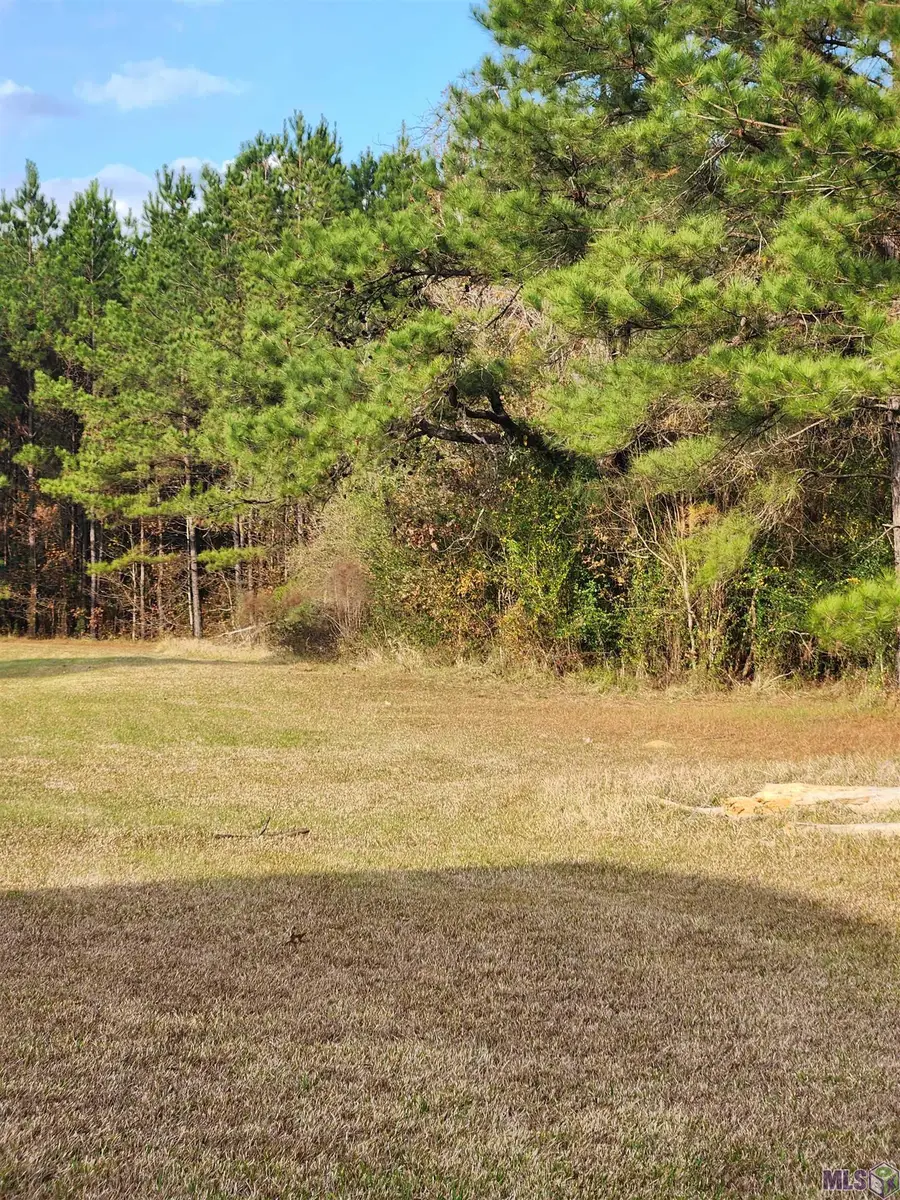 12775 Port Hudson Pride Rd, Zachary, LA 70791 - #3