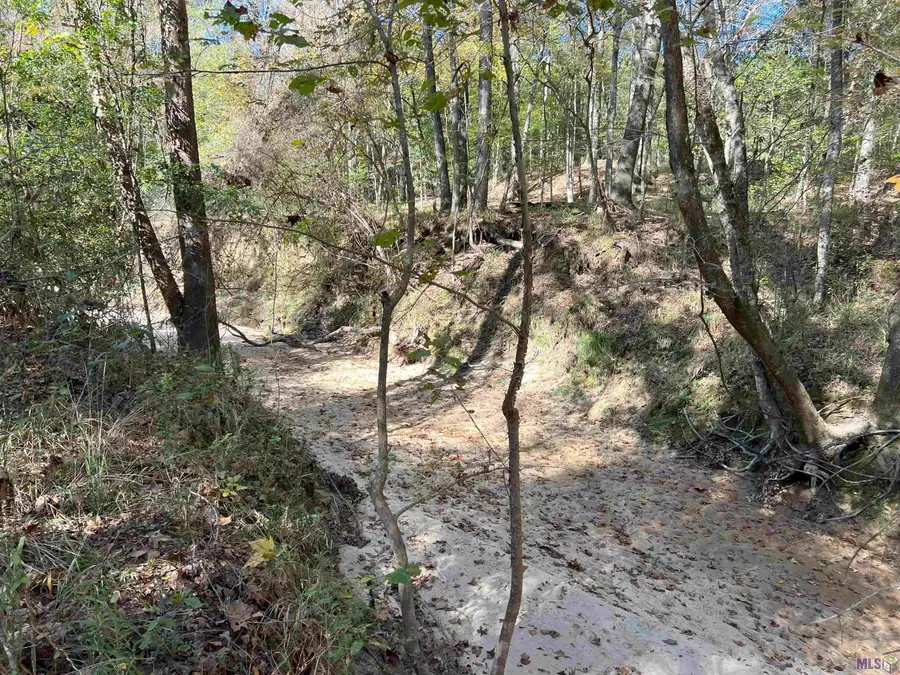 TBD (179.57 Ac) Tunica Trace, Saint Francisville, LA 70775 - Image #3