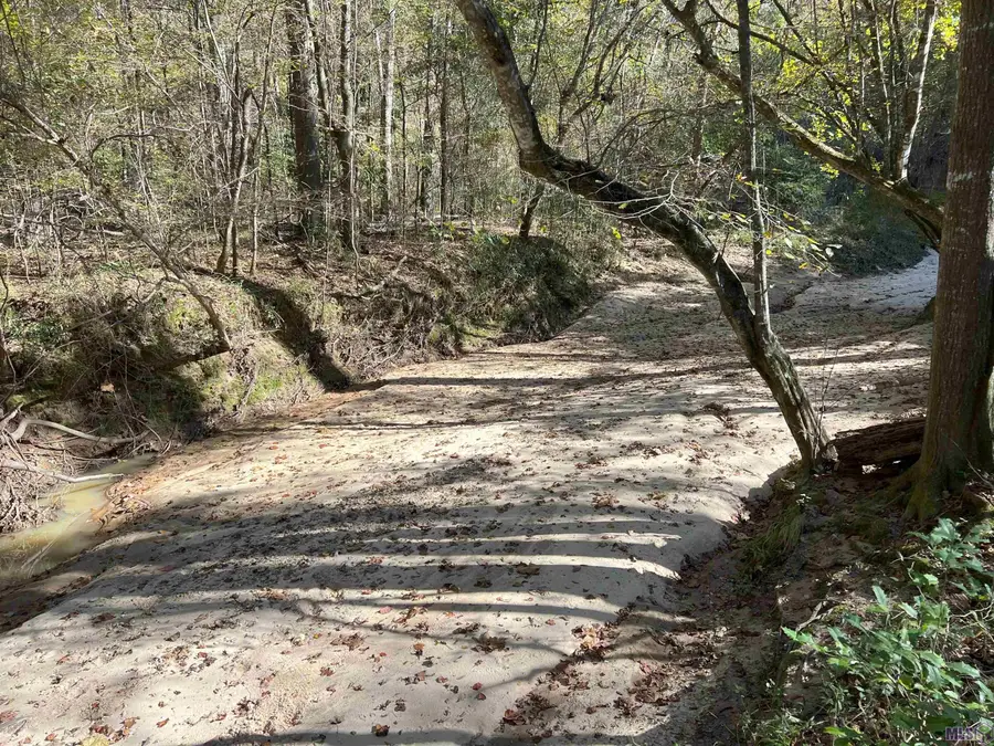 TBD (123.20 Ac) Ouida Irondale Rd, Saint Francisville, LA 70775 - Image #2