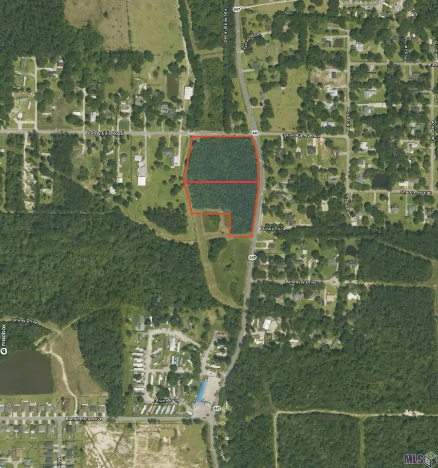 26535 Walker South Rd, Denham Springs, LA 70726 - #2