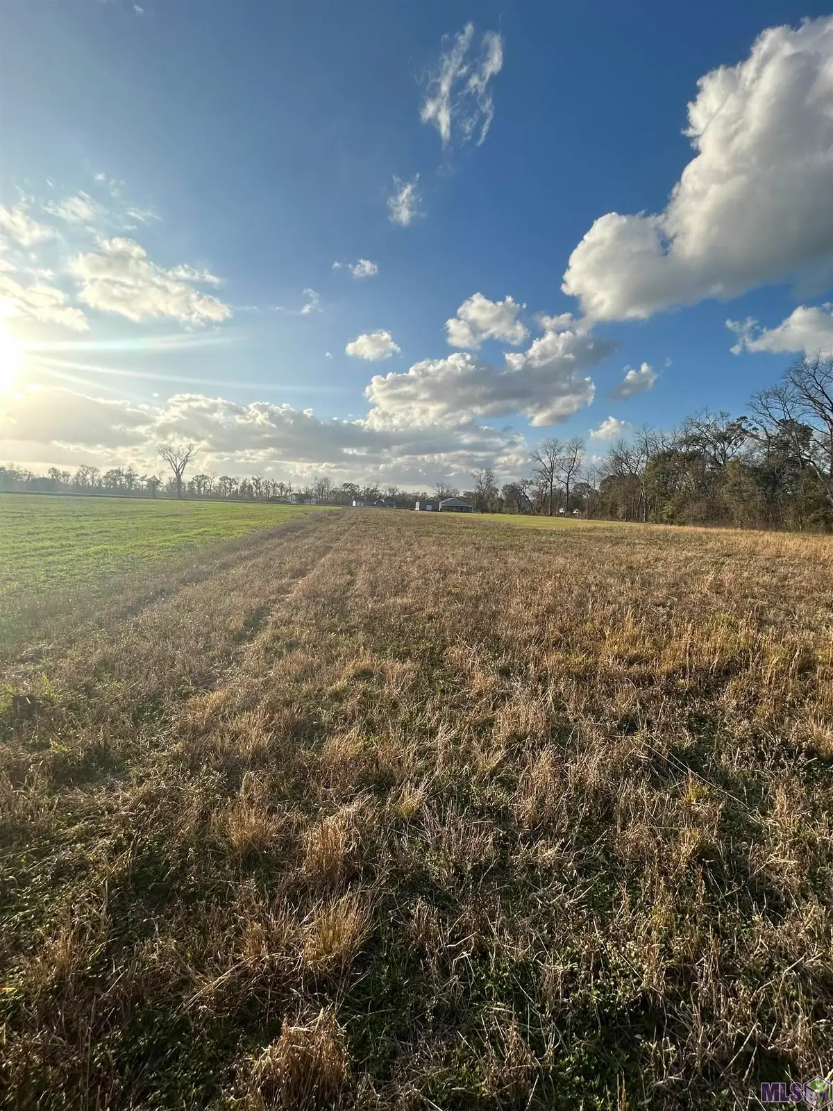 12248 Jepko Ln, Port Allen, LA 70767 - #1