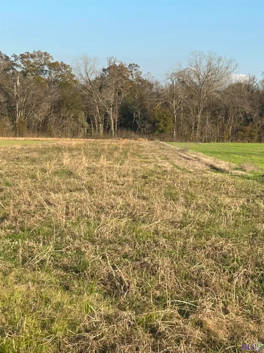 12248 Jepko Ln, Port Allen, LA 70767 - #2