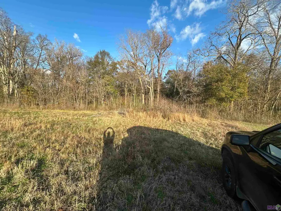 12248 Jepko Ln, Port Allen, LA 70767 - #3